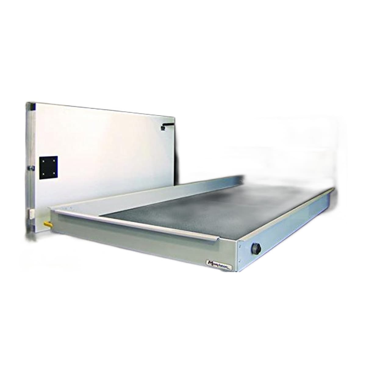 MORryde 42 x 72 RV Cargo Slide Tray | 60% Extension, Carpeted